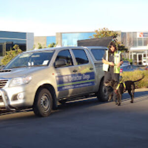 janetwilliams_8 avatar