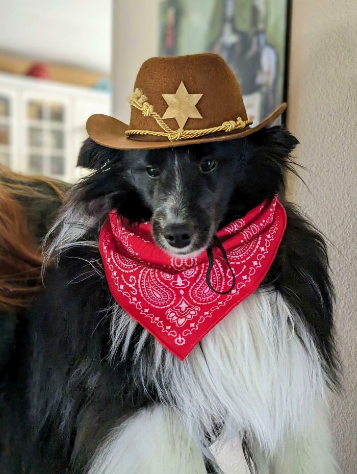 Ajax Is All Ready For Halloween