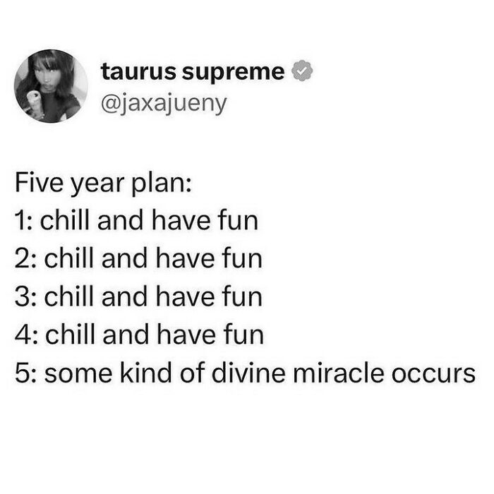 Relatable meme of a five-year plan with humorous goals to stay sane and enjoy life.
