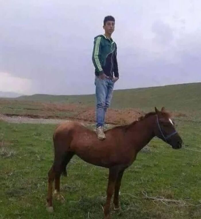 A person stands on a horse in a grassy field, showcasing balance and confidence in a picturesque setting.