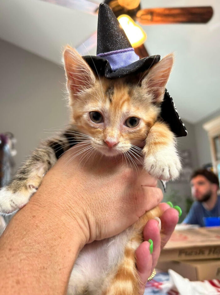 My Little Witch Is Ready For Halloween