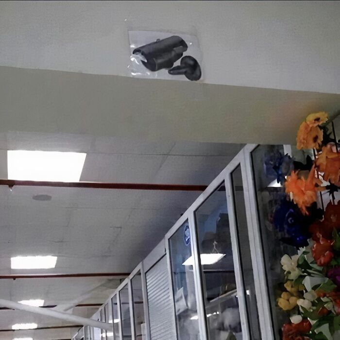 50 Pics That Are So Ridiculously Random, You Can’t Help But Laugh