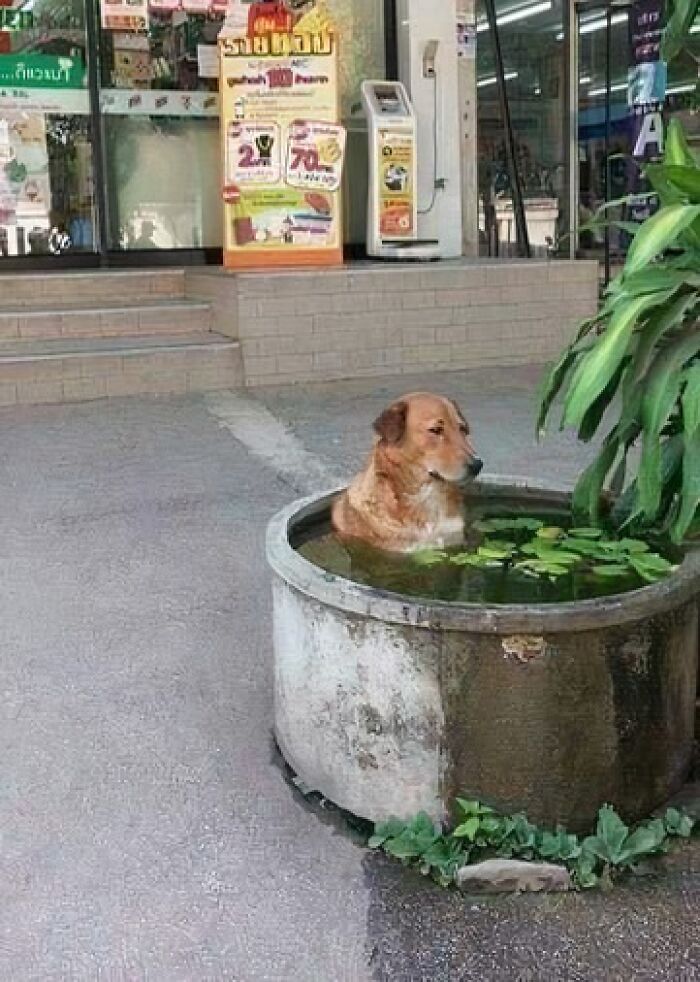 50 Pics That Are So Ridiculously Random, You Can’t Help But Laugh