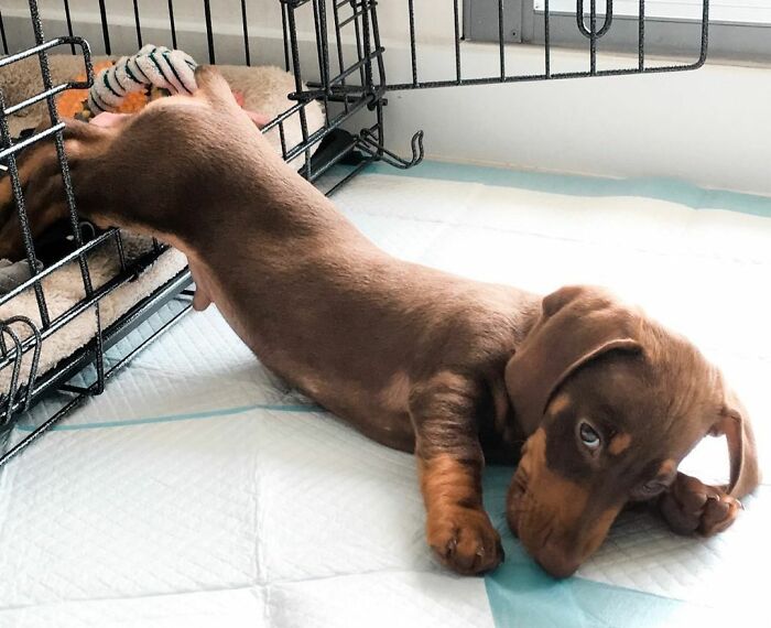 I’ve Had A Long Day