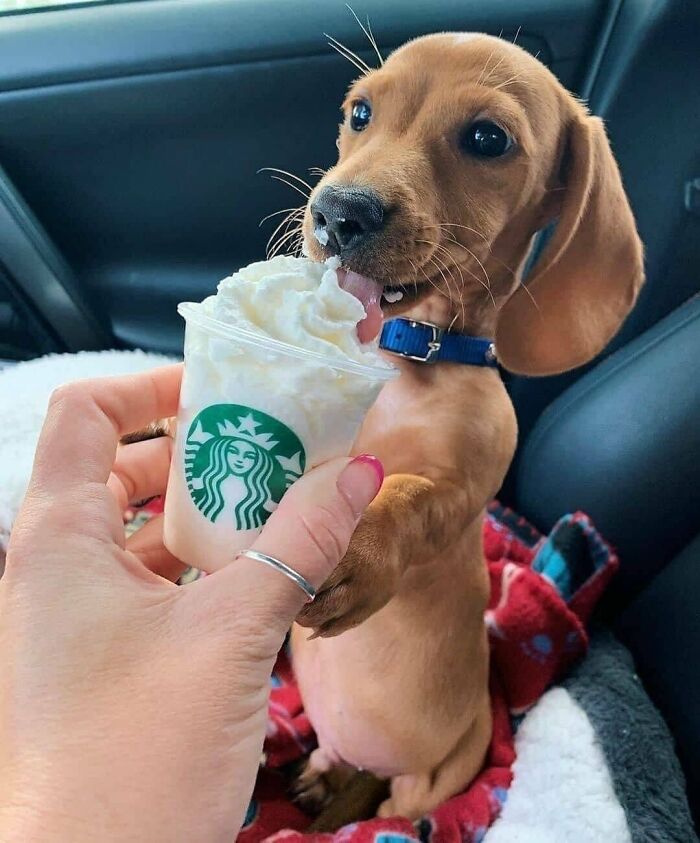 One Well-Deserving Boy