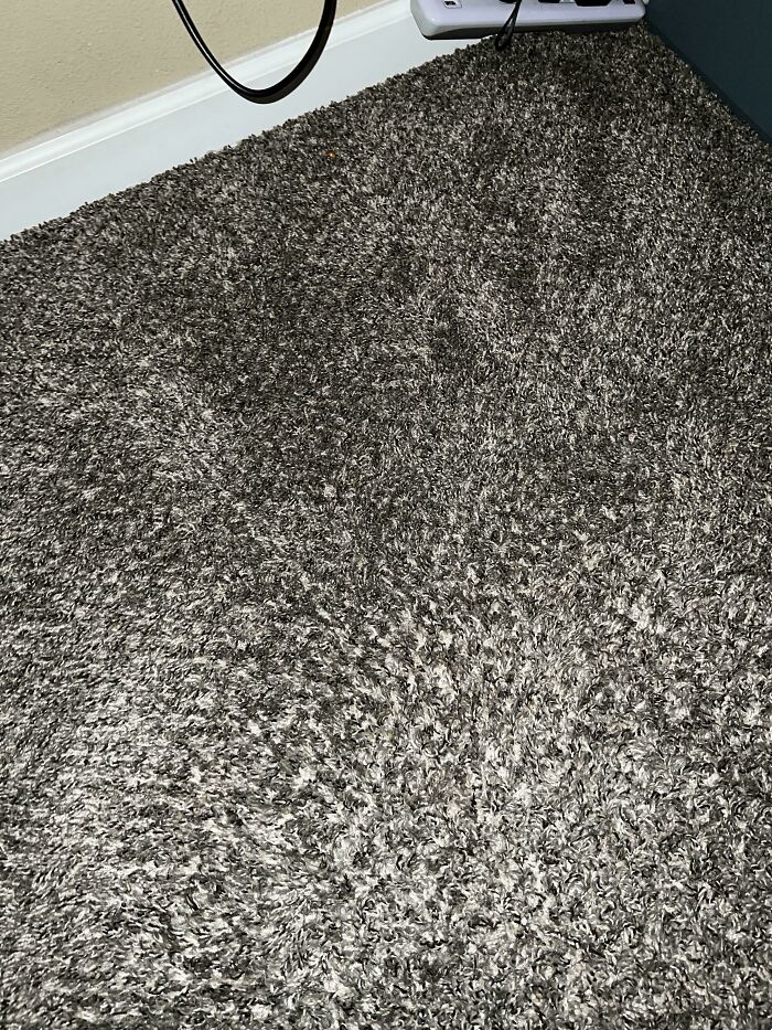 Dropped My Ring And Finally Found It After A Few Days. Try And Find It