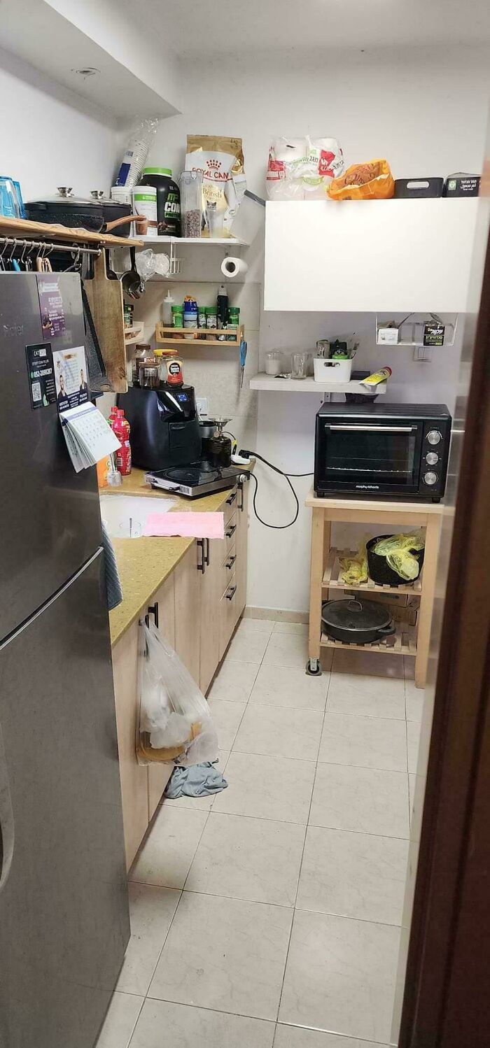 Find The Cat. No, Not The One Printed On The Cat Food Sack