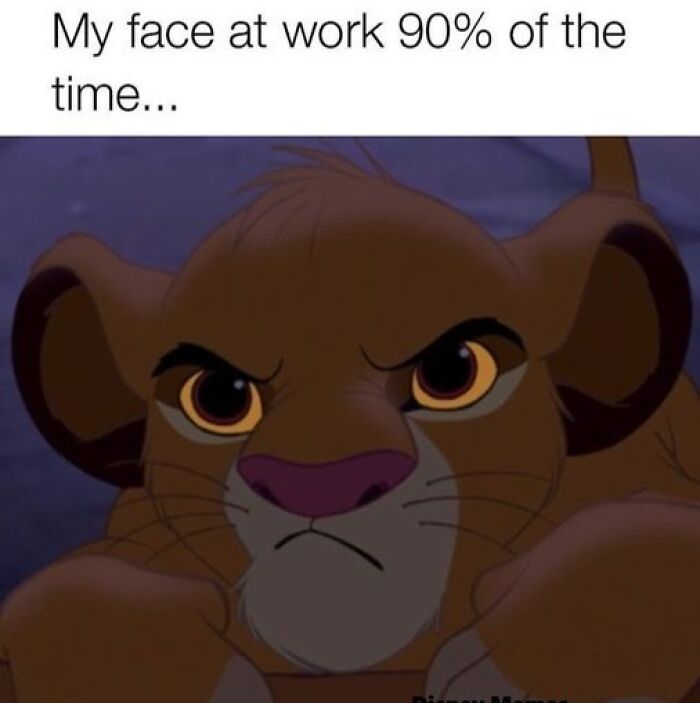 Hilarious-Disney-Memes-Jokes