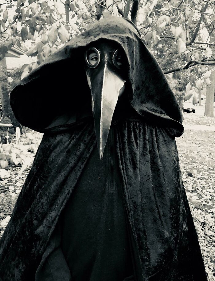 My Son’s Costume This Year Made By My Wife. About $20 Worth Of Fabric, Cardboard, And 2 Shower Rings