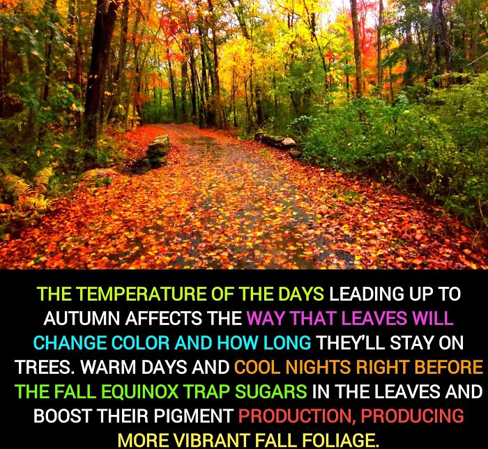 Interesting-Unique-Facts