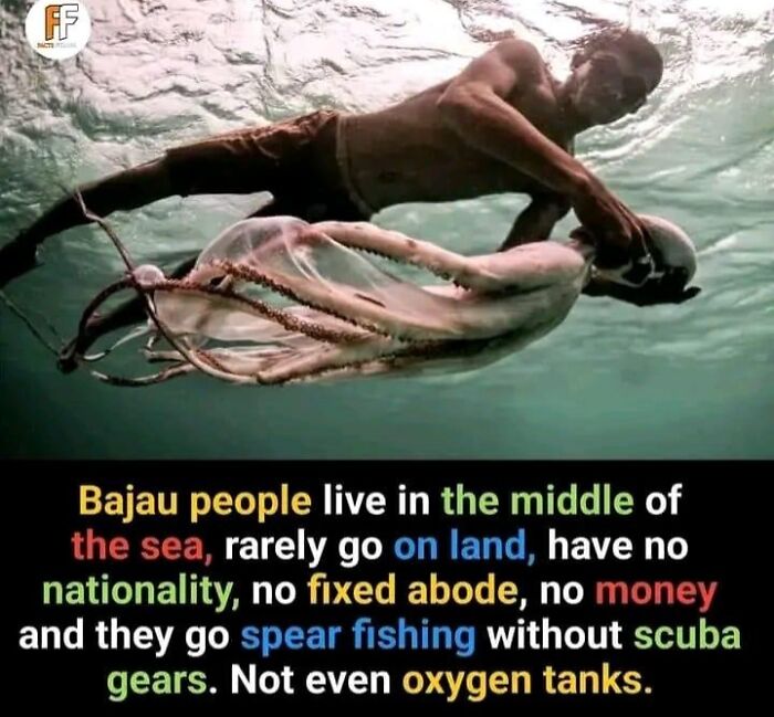 Interesting-Unique-Facts