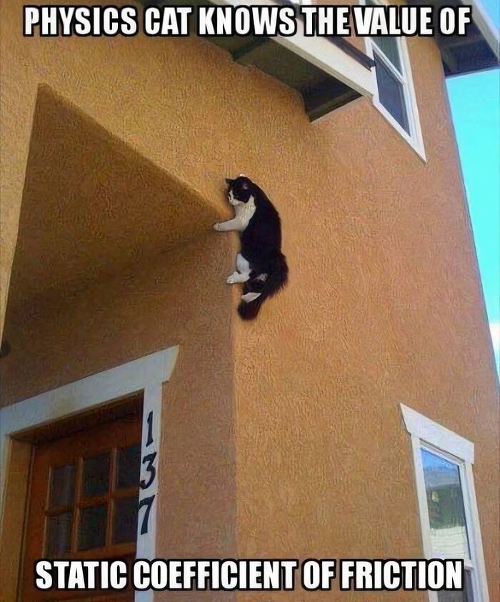 Cat climbing a wall humorously illustrating static coefficient of friction combining science and humor in a meme.