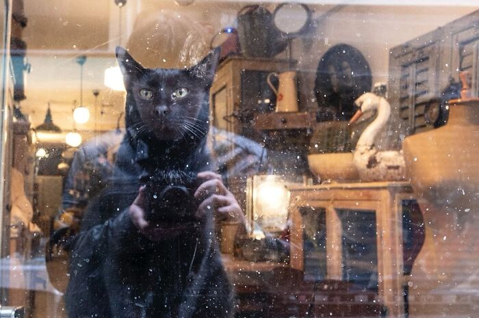 Delightful Street Photography By Serkan Tekin: Timing Is Everything (New Pics)