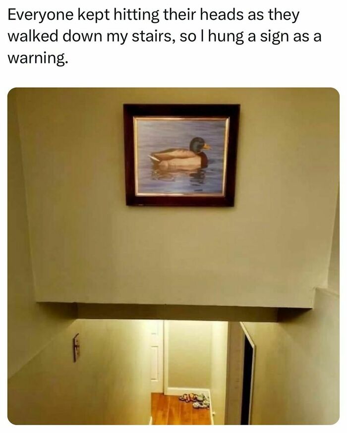 Funny college confessions meme with a duck painting hung as a warning sign above stairs.
