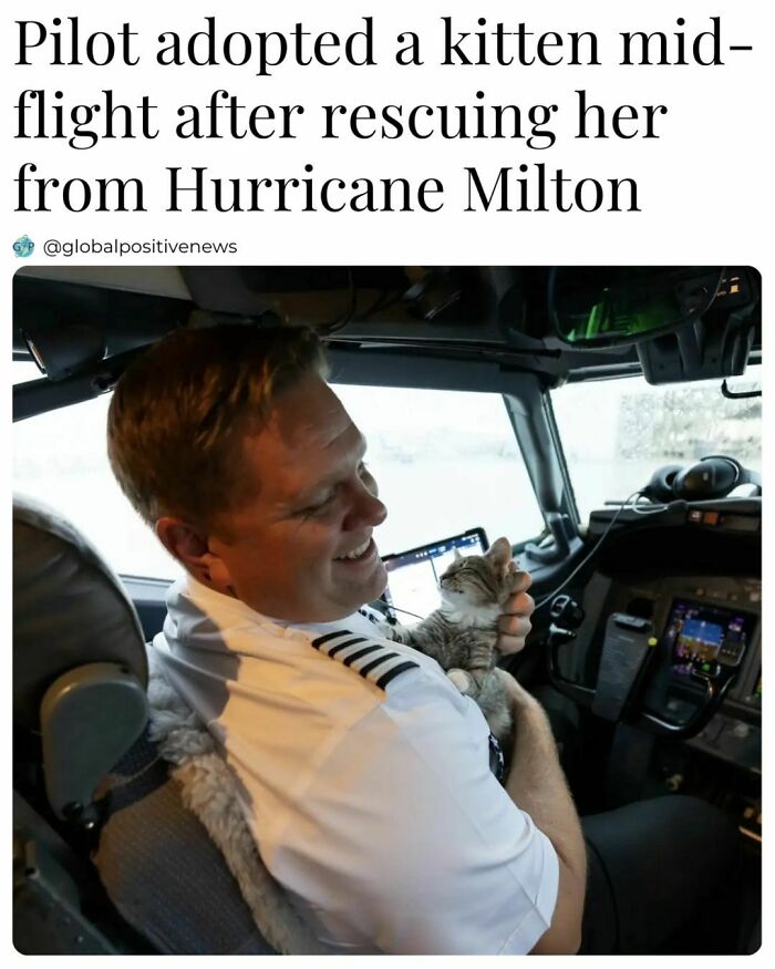 Pilot smiling, holding a rescued kitten in the cockpit, symbolizing restored faith in humanity.