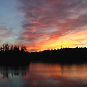 abbiemayersky avatar