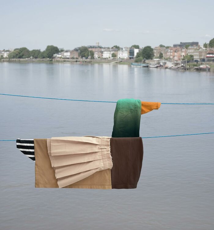 Playful animal made from laundry hanging on a line with picturesque water and town landscape in the background.