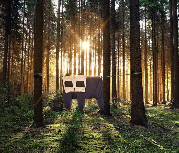 Playful animal sculpture made from laundry hanging between trees in a sunlit forest landscape at sunrise.