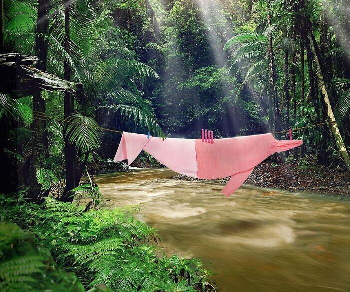 Playful animal made from laundry hanging on a line in a lush forest landscape with sunlight filtering through trees.