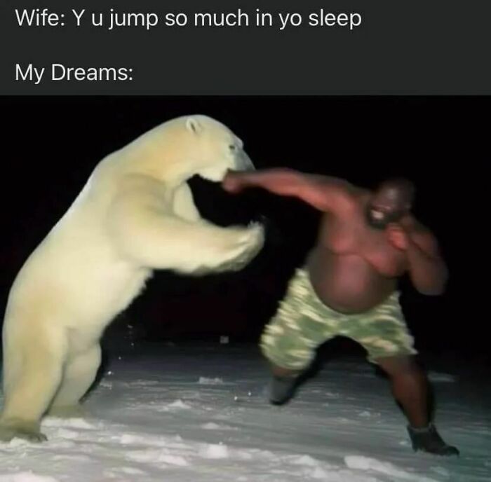 Funny relatable meme showing a man punching a polar bear with text about jumping in sleep dreams for laughter.