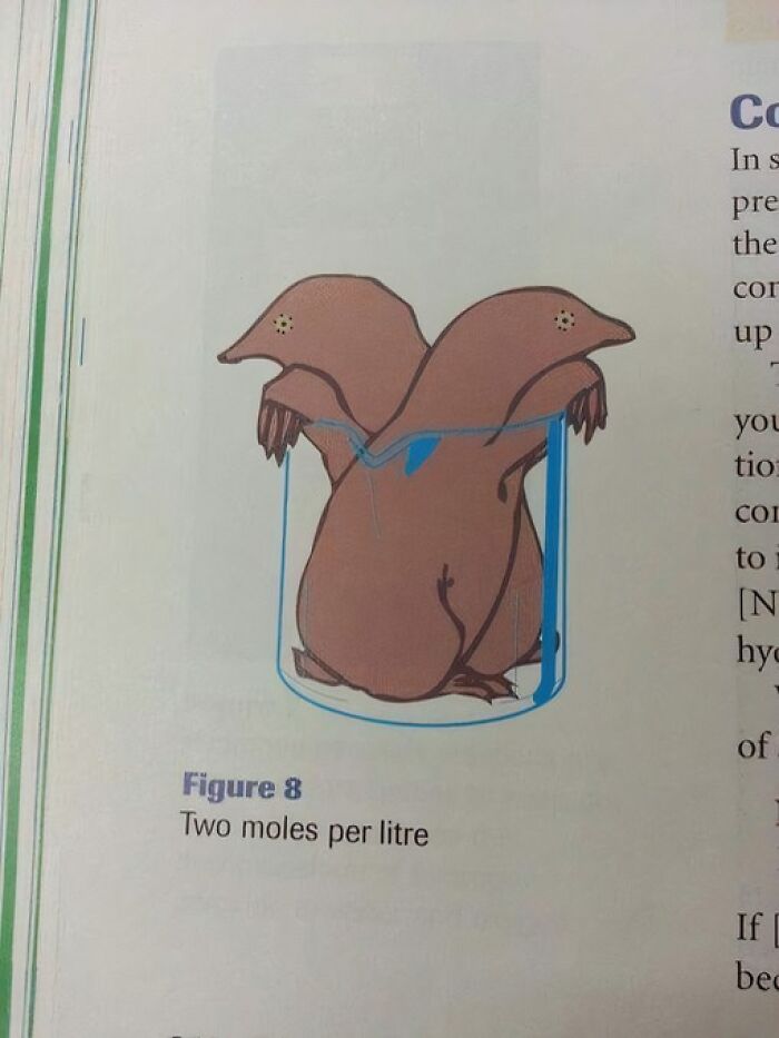 Illustration of two cartoon moles in a beaker representing the science and humor meme about moles per litre.