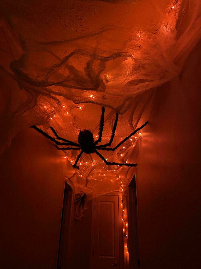 Spiderweb Hallway