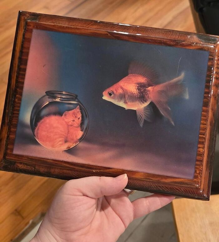 Found This Treasure Yesterday