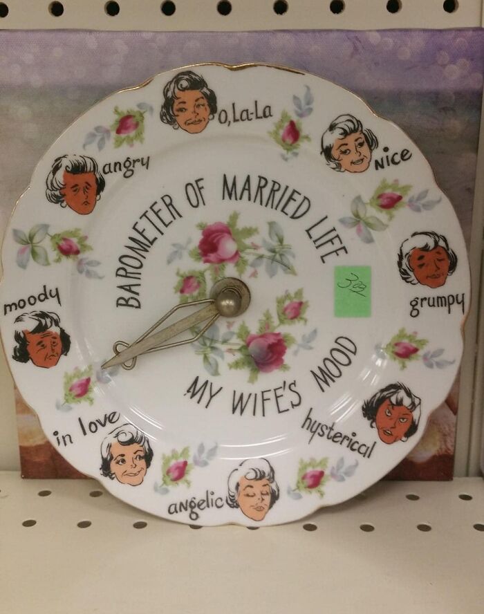 My Wife Wasn’t Quite As Thrilled As I Had Hoped When I Gave Her My Thrift Store Find For Her Recent Birthday…..(She Actually Loved It Though)