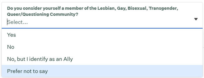 Dropdown asks about LGBTQ+ community membership, options include yes, no, ally, or prefer not to say, reflecting recruiting issues.