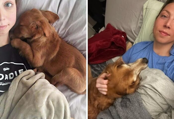 8 Years Ago You Guys Loved This Pic Of Me And My Golden, Update-She Still Hasn’t Learned Personal Space