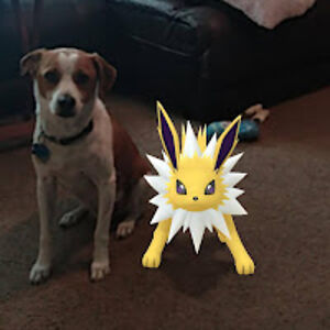 alexandersulfridge avatar