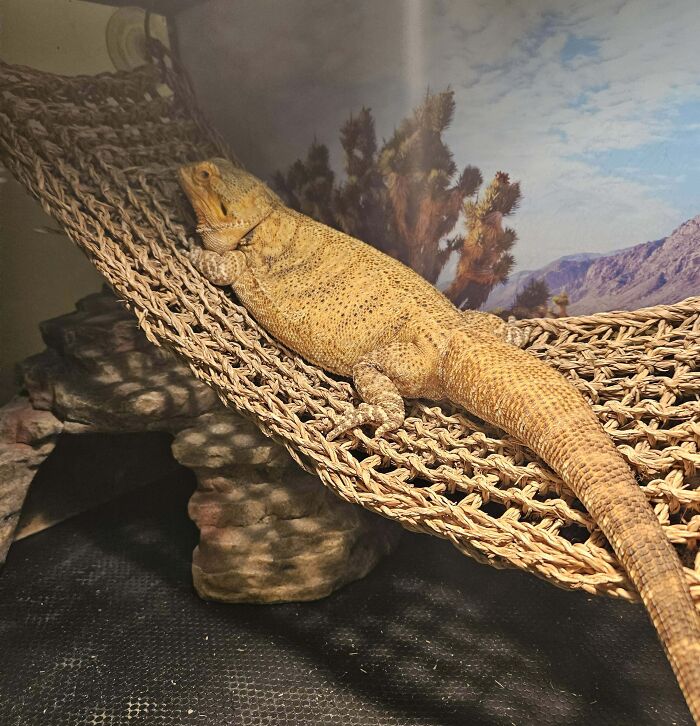 Just How Overweight Is My New Girl?