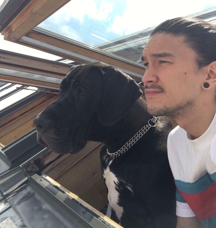 Man and large black Great Dane sitting closely together, looking out a window in bright daylight.