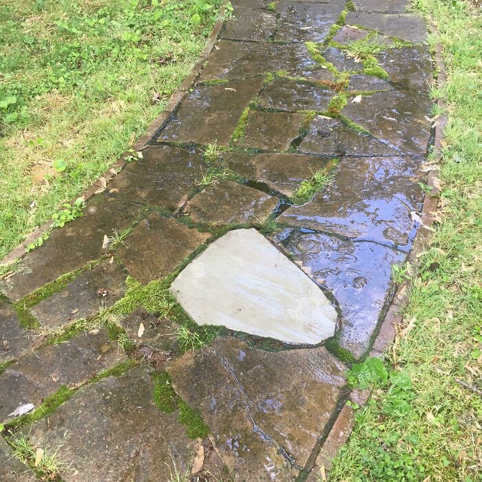 Power washed stone path with one clean tile, showcasing satisfying before and after results.