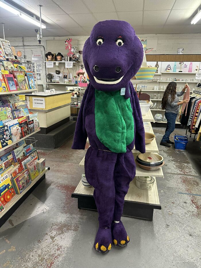 A large purple dinosaur costume found in a thrift store, surrounded by various items and a person browsing nearby.