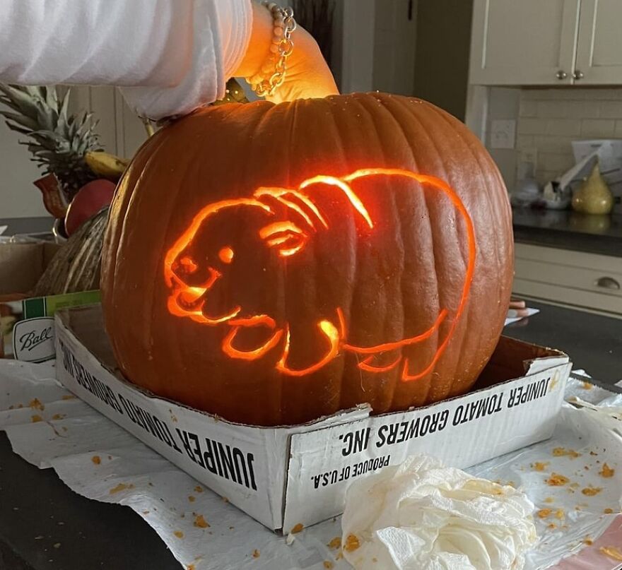 Carved pumpkin featuring a glowing hamster design, showcasing quirky and charming pumpkin carvings shared online.
