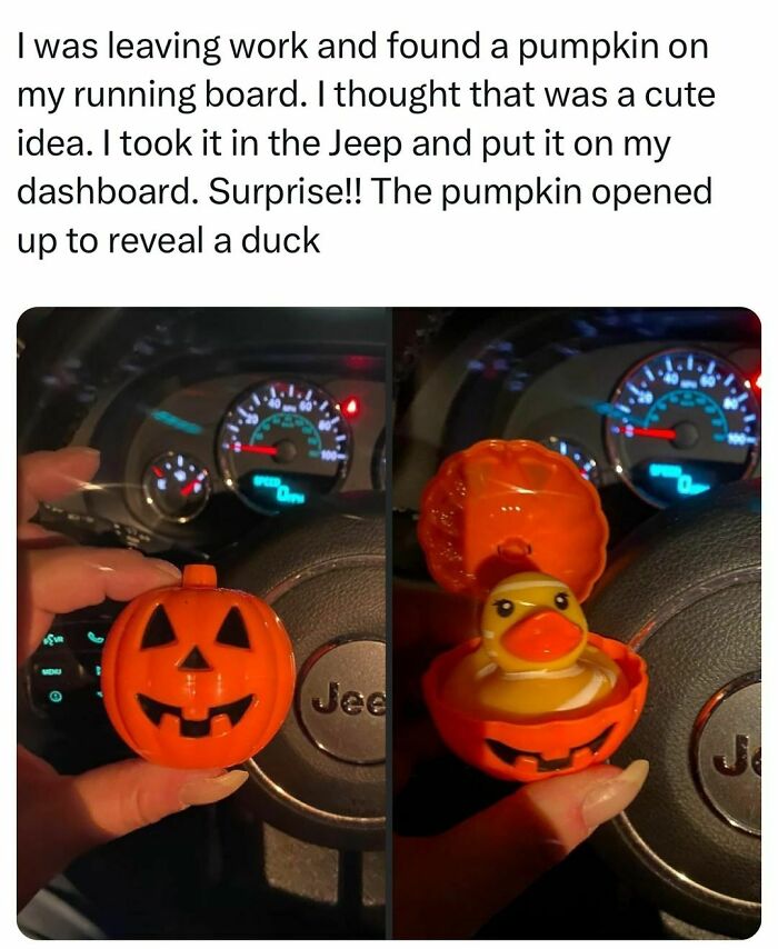 Pumpkin toy on Jeep dashboard reveals a duck, showcasing funny college confessions memes.