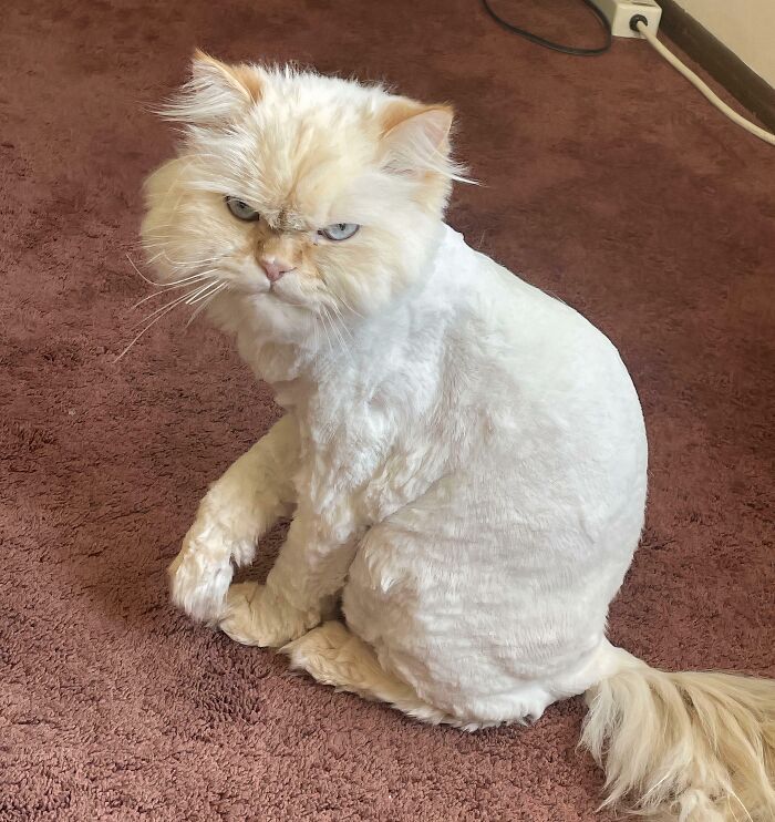 I Think He’s Upset