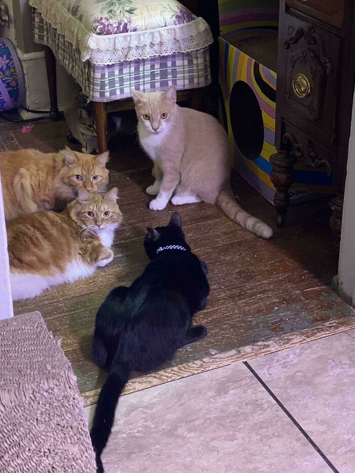 Clearly I Interrupted