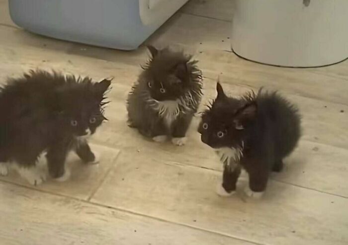 What Is Happening There