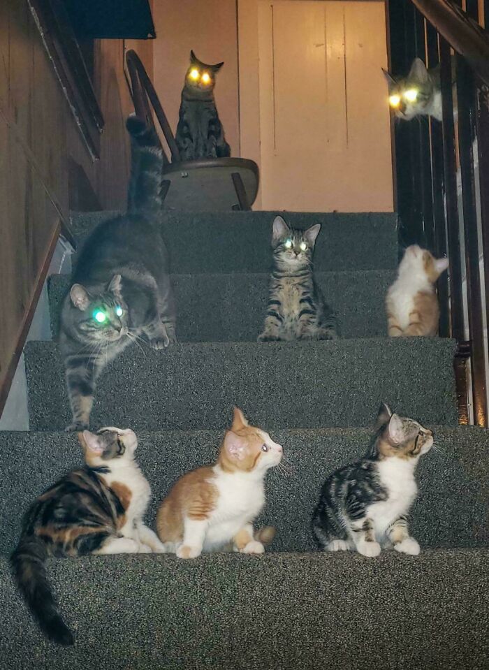 Meeting Of The Junior And Senior Council