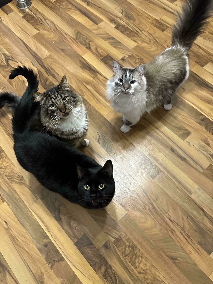 I Say One’s Name And They All Come