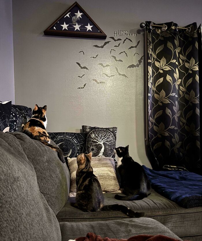 Doesn't It Freak You Out When They Do This?