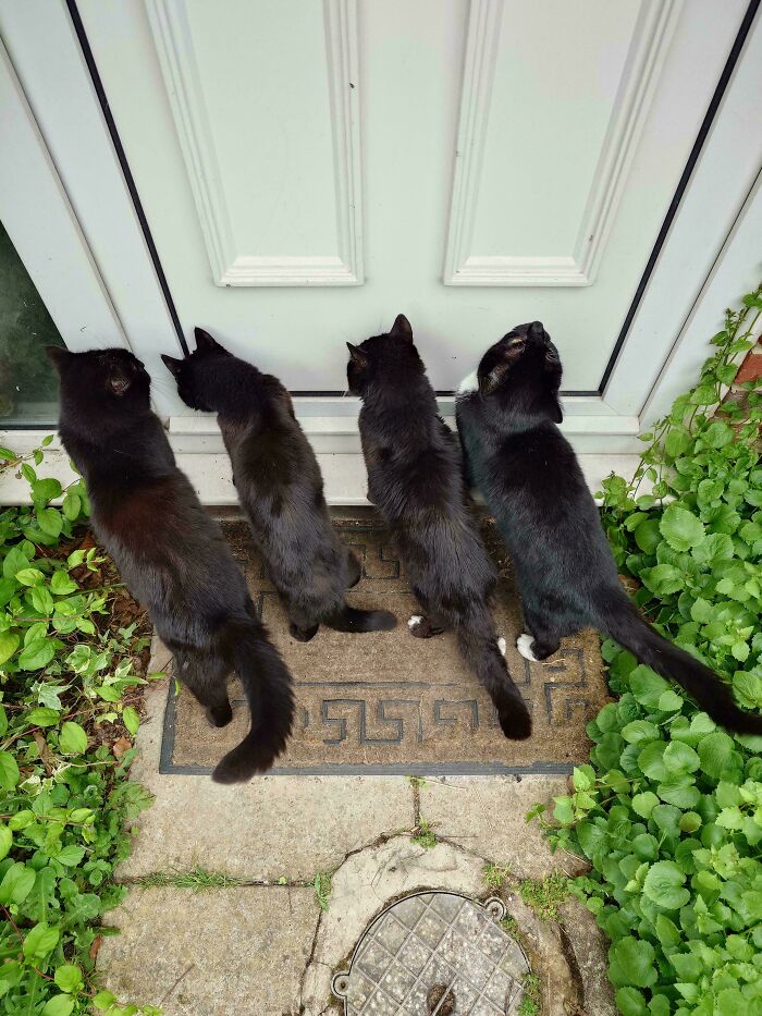 Late For Their Meeting