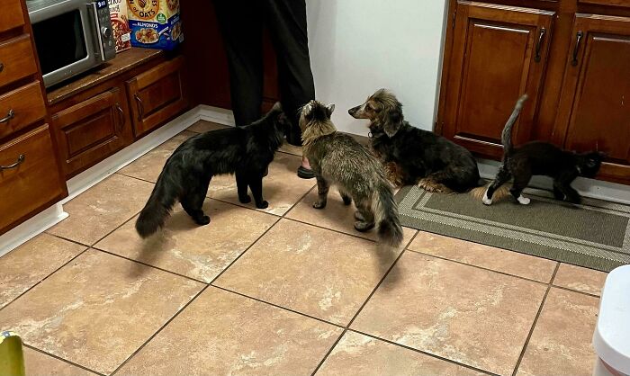 Which One Of These Things Is Not Like The Other?