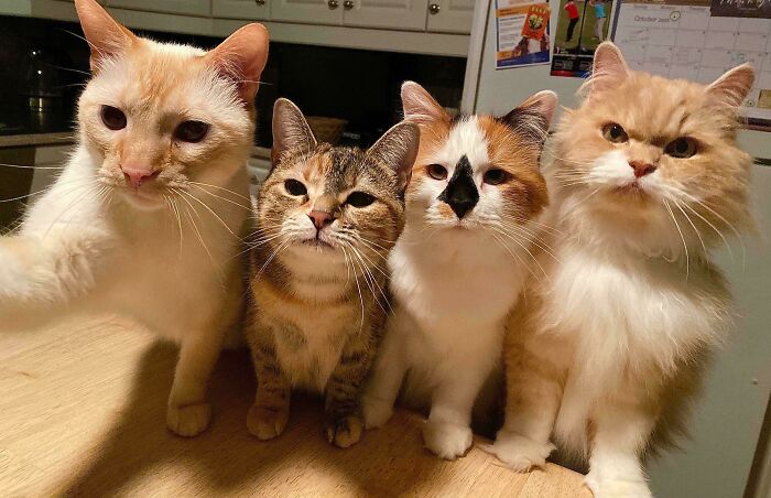 Our Crew! The Band’s First Album Cover