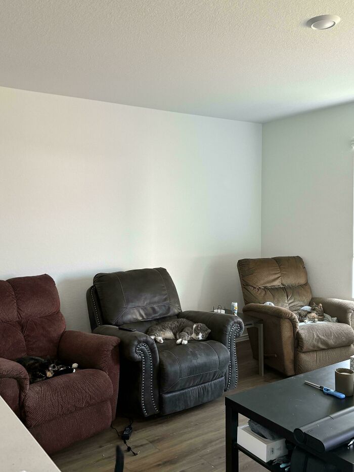 The Council Will Decide You Fate After A Quick Nap