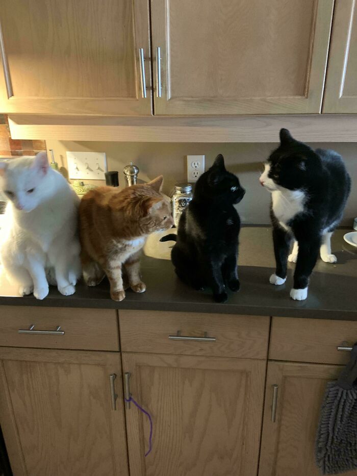 What’s The Agenda For This Meeting?