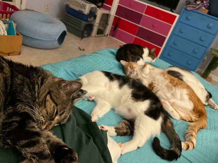 We Moved Into A New House Today