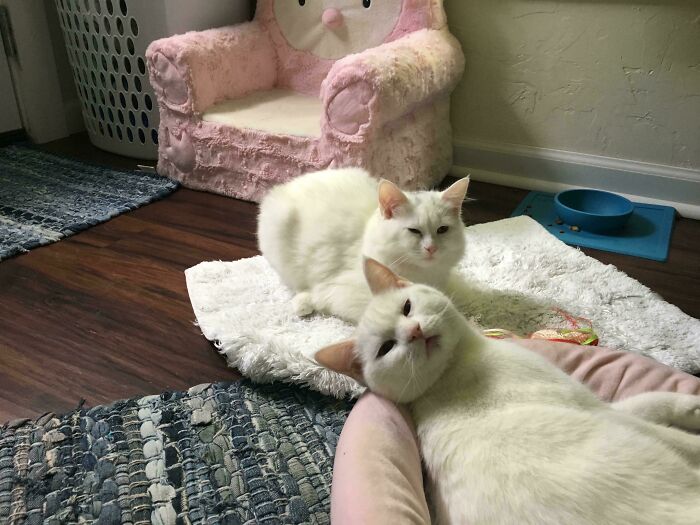 What Have I Interrupted To Get The Stink Eye?